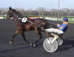 Trot attelé