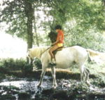 Equitation de loisirs