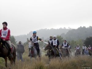 Equitation Endurance